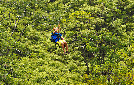 Eco-Adventure Zipline